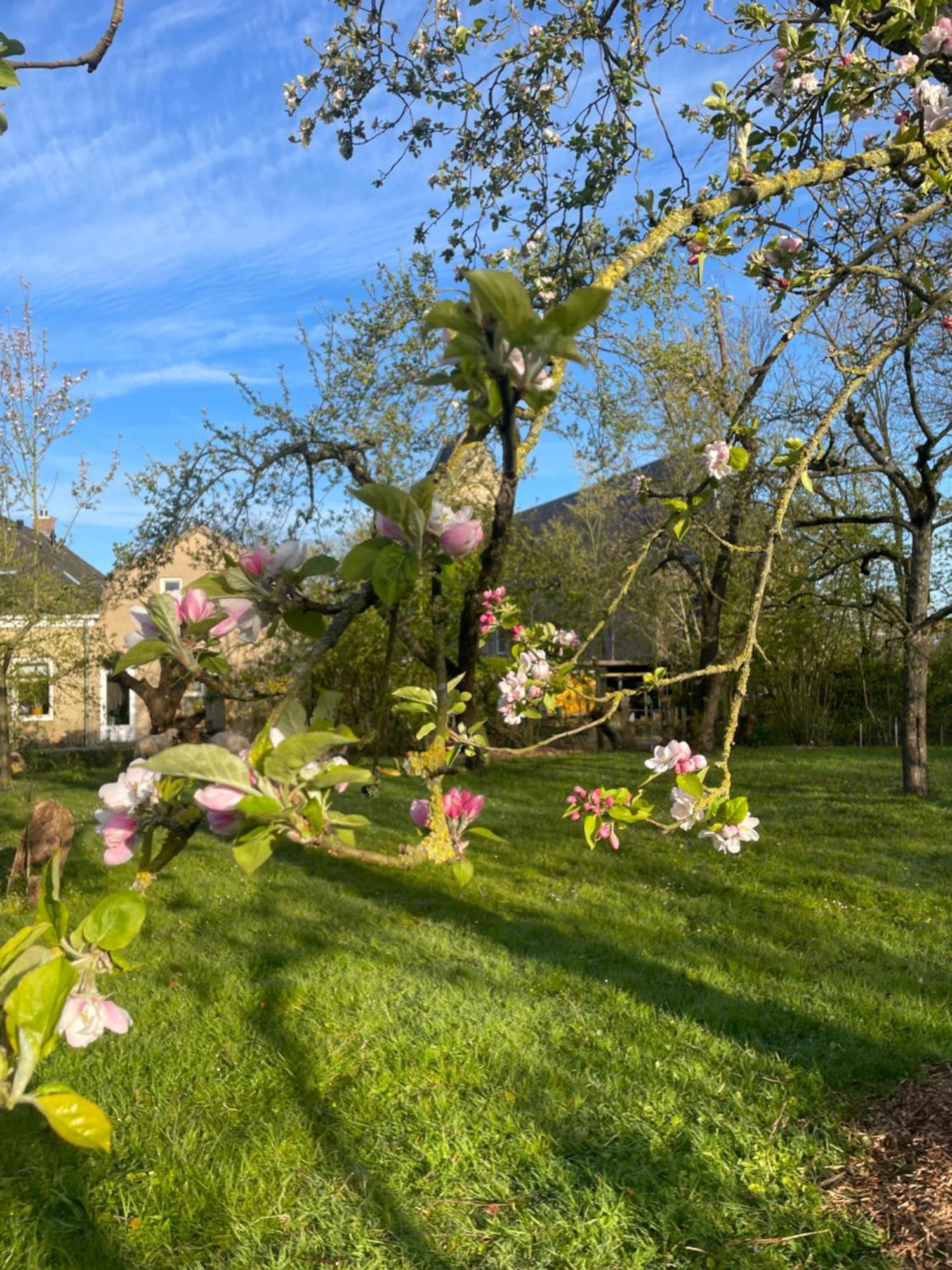 Appartement De Dageraad In Monumentale Boerderij Kimswerd Εξωτερικό φωτογραφία