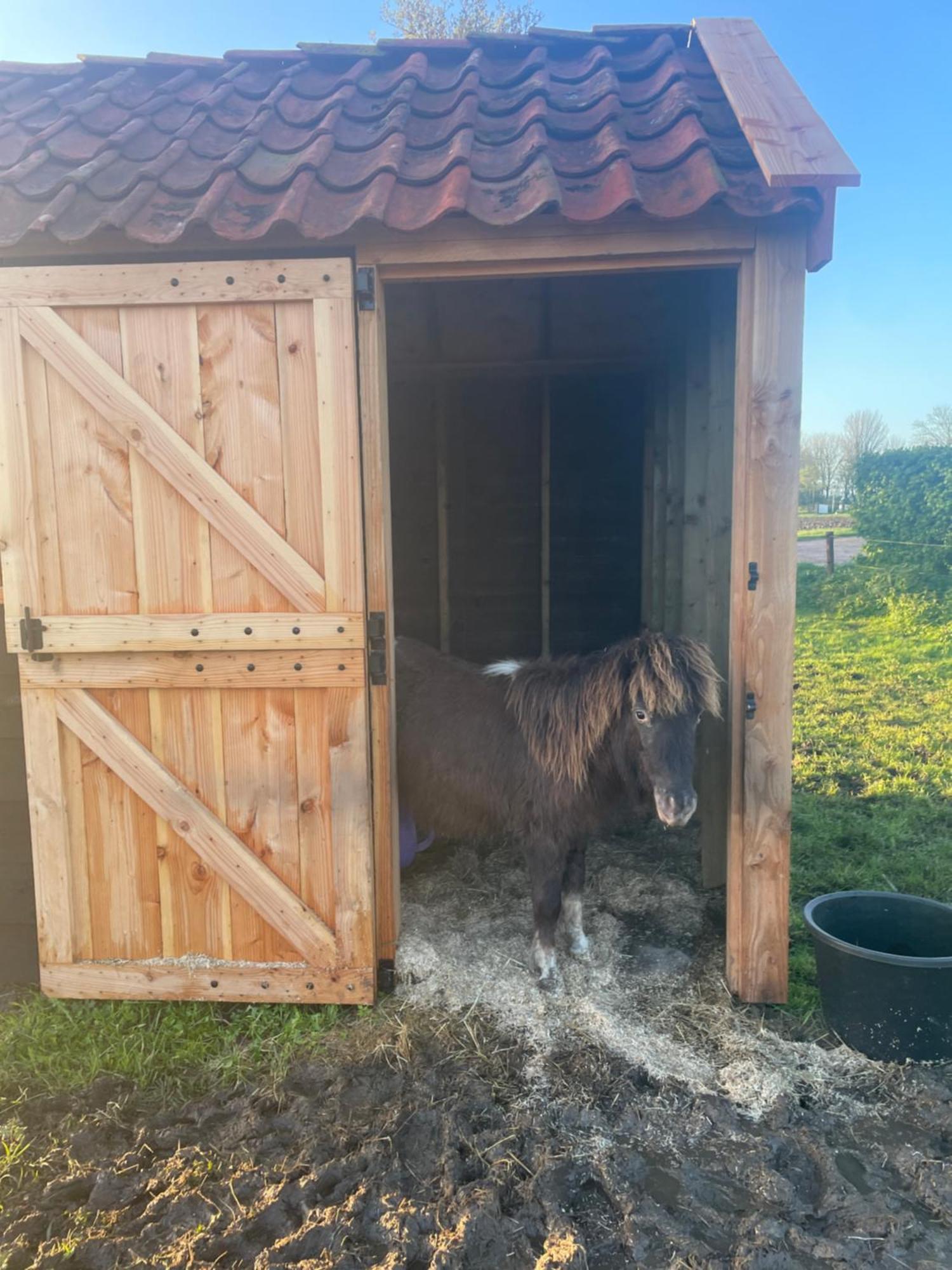 Appartement De Dageraad In Monumentale Boerderij Kimswerd Εξωτερικό φωτογραφία