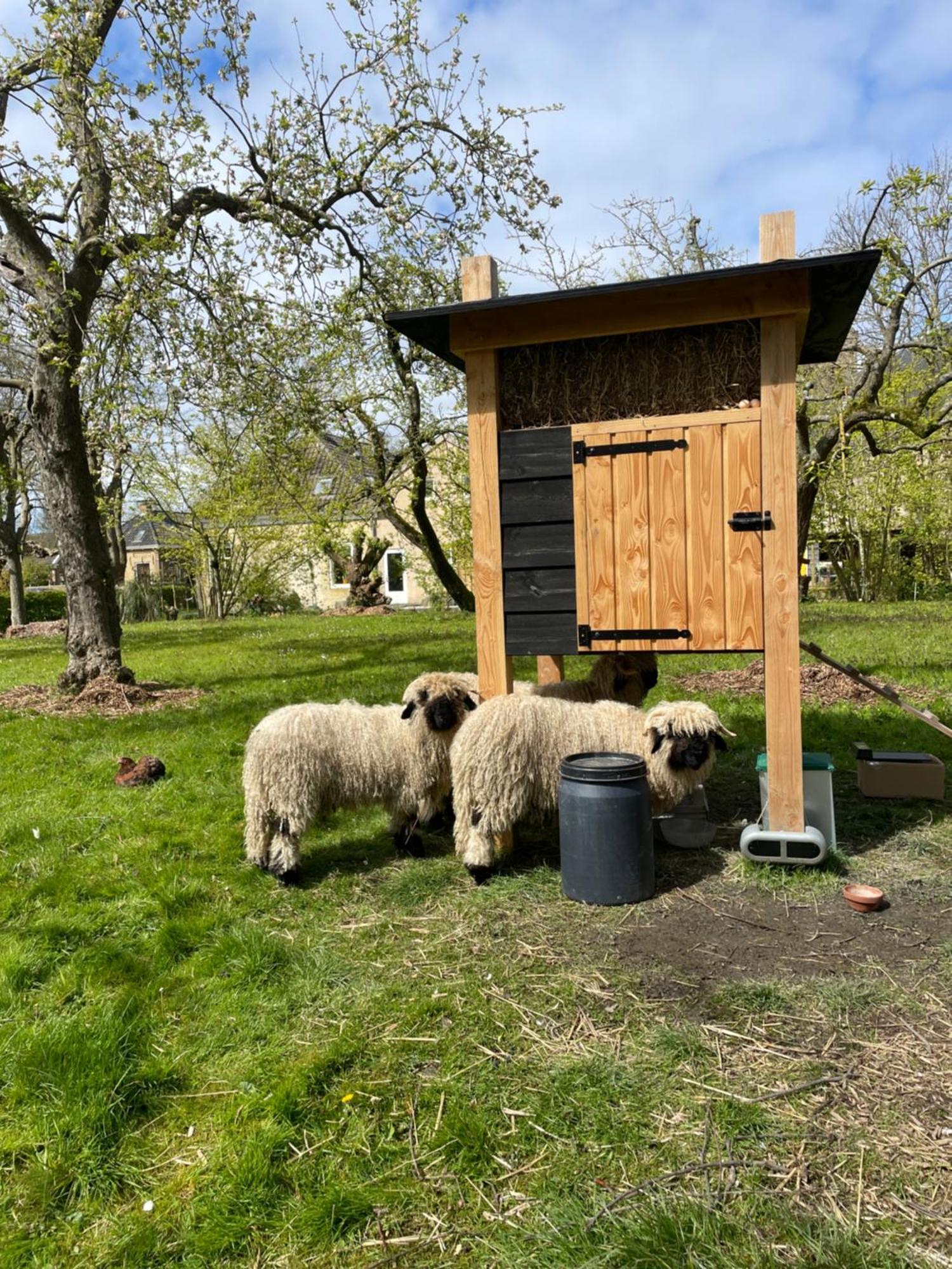 Appartement De Dageraad In Monumentale Boerderij Kimswerd Εξωτερικό φωτογραφία